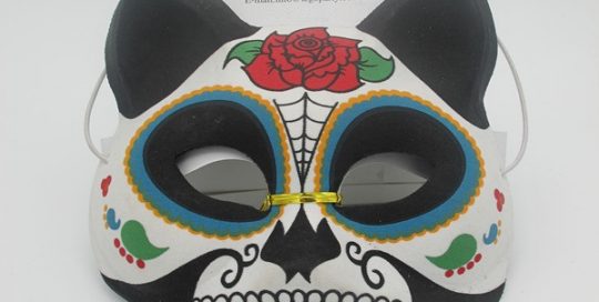 Day of the Dead Carnival Party Supplies Cat Eye Mask with Rose