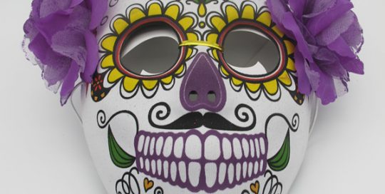 Day of The Dead Masks Sugar Skull Mask with Flowers and Elastic Band