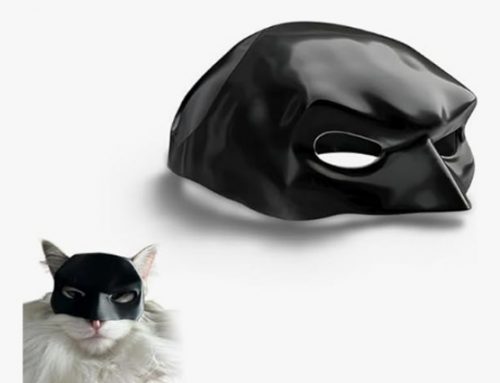 Black Bat Cat Cosplay Mask for Halloween