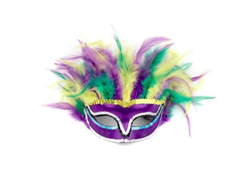 Mardi Gras Feather Mask