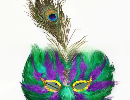 Fat Tuesday Carnival Tassel Mask with Handle